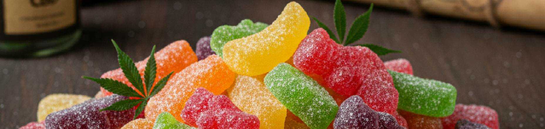 blog-obrázky-44_optimized